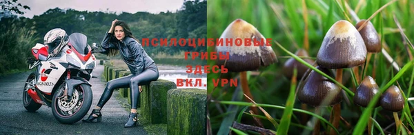 прущие крисы Белокуриха