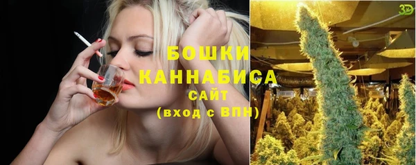 прущие крисы Белокуриха